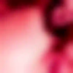 Foto von Nora