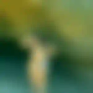 Foto von Franziska