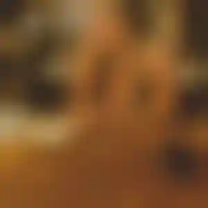 Foto von Annette