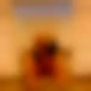 Foto von Iris