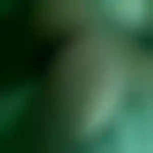 Foto von Anja