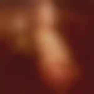 Foto von Silke