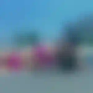 Foto von Marion