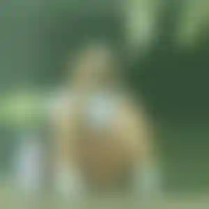 Foto von Marie