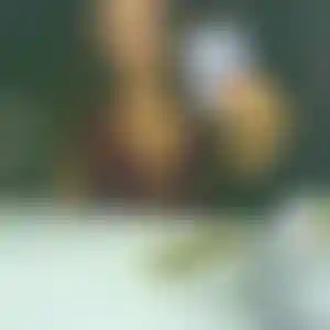 Foto von Emilia