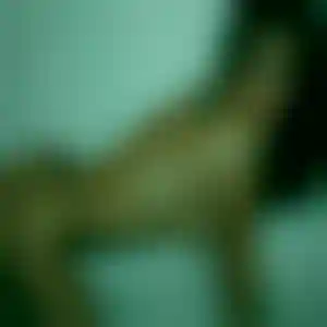 Foto von Ines