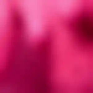 Foto von Chiara