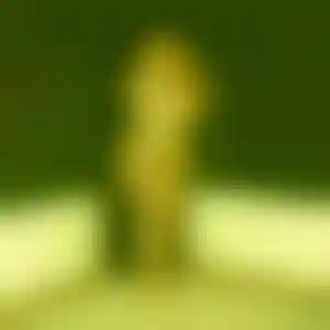 Foto von Carolin