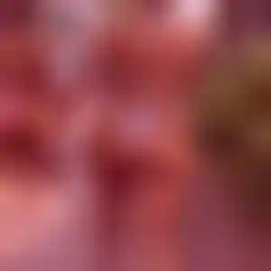 Foto von Carolin
