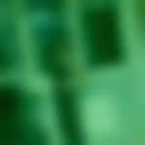 Foto von Anke