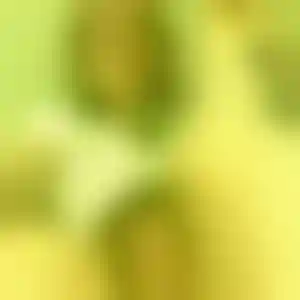 Foto von Nicole