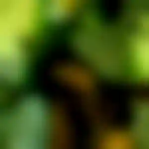 Foto von Carola