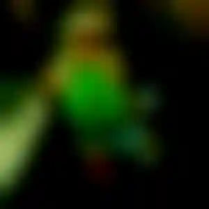 Foto von Doris