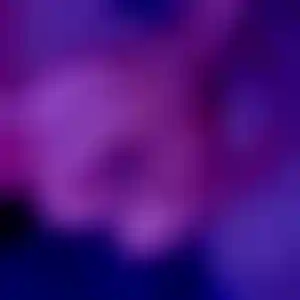 Foto von Jule