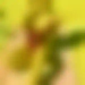 Foto von Ute