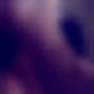 Foto von Iris