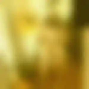 Foto von Maja