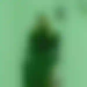 Foto von Anke