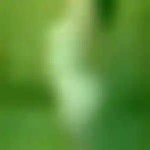 Foto von Franziska
