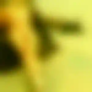 Foto von Nadine