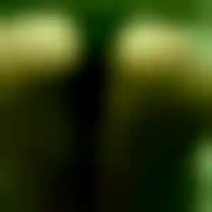 Foto von Pauline