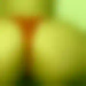 Foto von Franziska