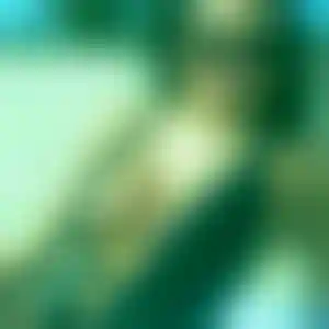 Foto von Nora