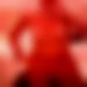 Foto von Regine