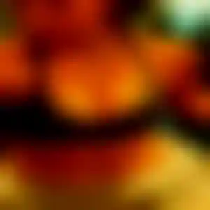 Foto von Nele