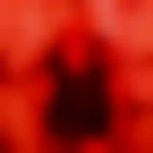 Foto von Fiona