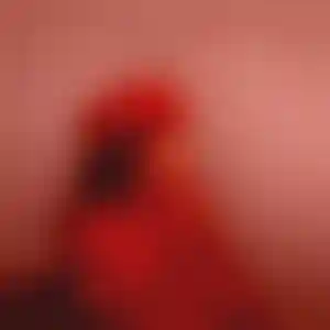 Foto von Anna