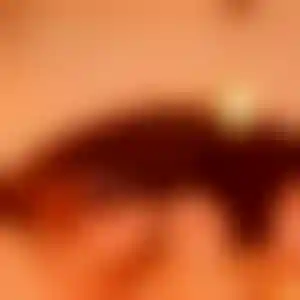Foto von Sophie
