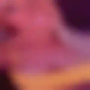 Foto von Iris