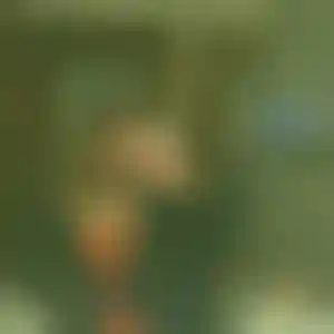 Foto von Manuela