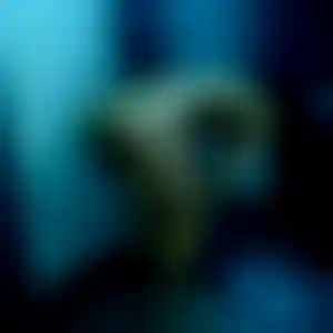 Foto von Grit
