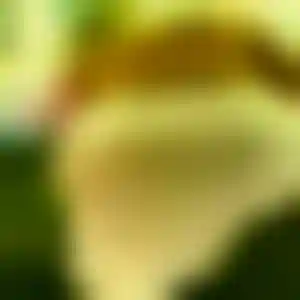 Foto von Anke