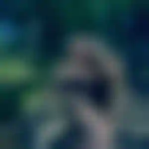 Foto von Iris