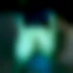Foto von Bärbel