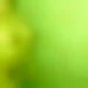 Foto von Ute