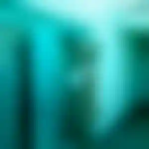 Foto von Heidi