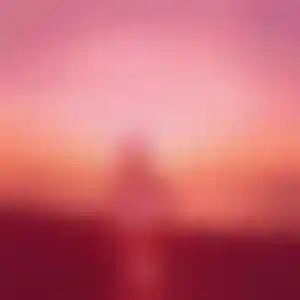 Foto von Iris