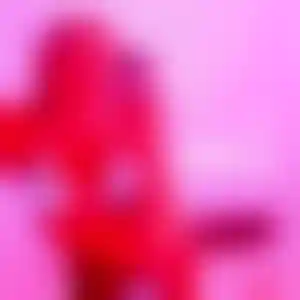 Foto von Heike