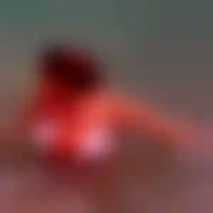 Foto von Anke