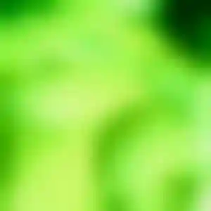 Foto von Monika