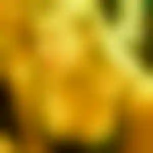 Foto von Chiara