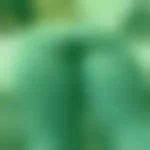 Foto von Ursula