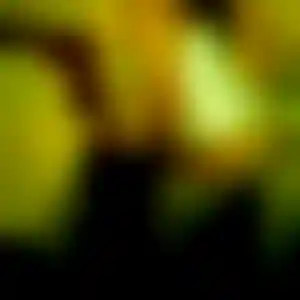 Foto von Annika