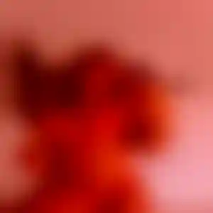 Foto von Anke