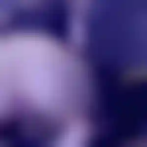 Foto von Luisa