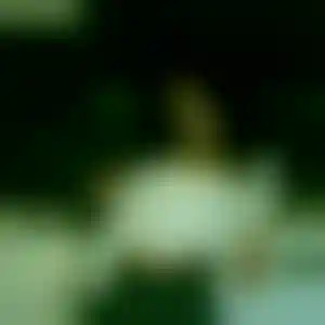 Foto von Chiara